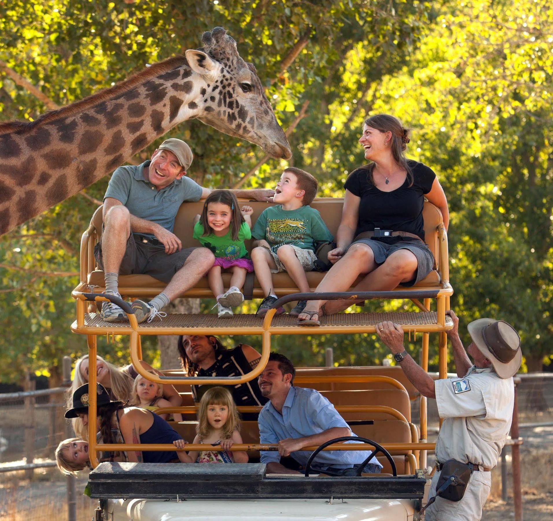 Safari West Hotel Mark West Springs Ngoại thất bức ảnh