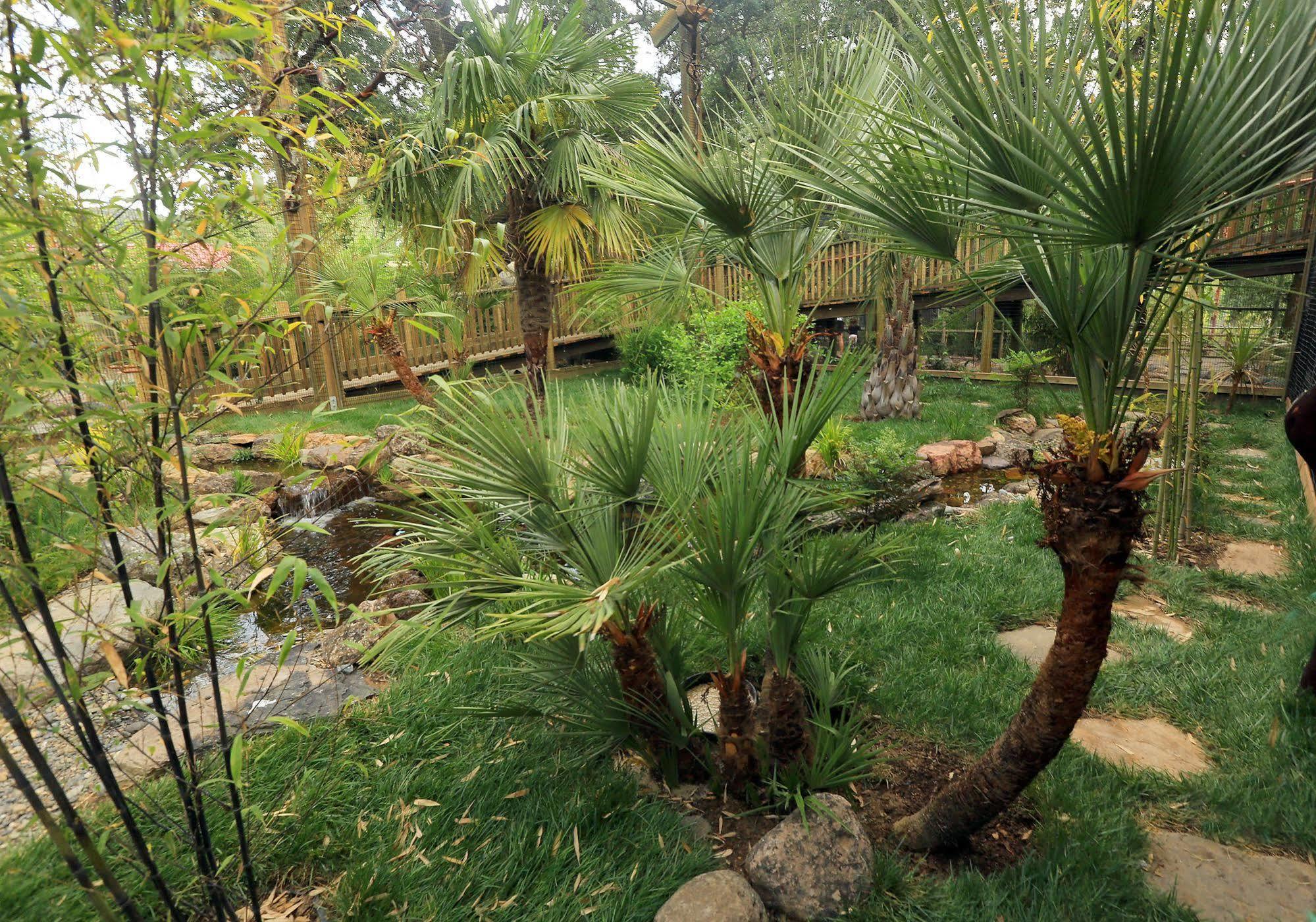 Safari West Hotel Mark West Springs Ngoại thất bức ảnh
